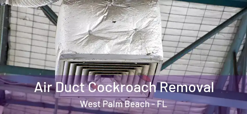 Air Duct Cockroach Removal West Palm Beach - FL