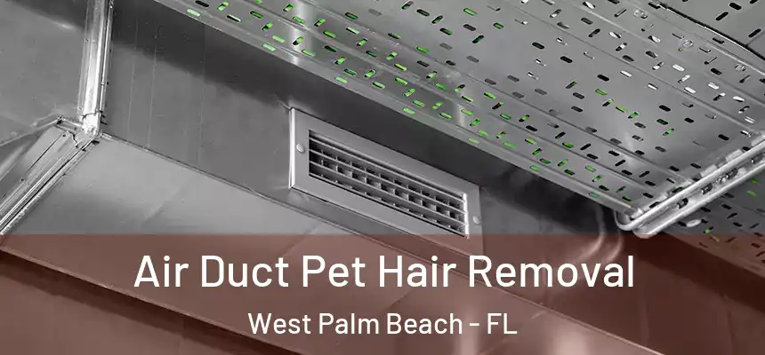  Air Duct Pet Hair Removal West Palm Beach - FL