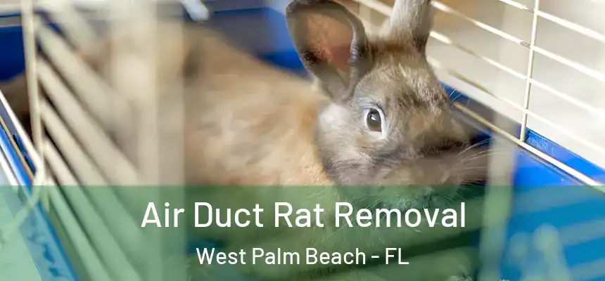 Air Duct Rat Removal West Palm Beach - FL