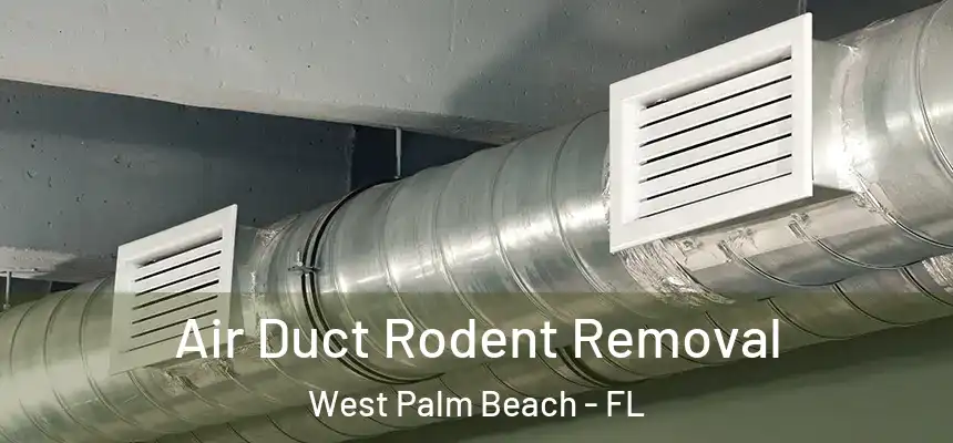  Air Duct Rodent Removal West Palm Beach - FL