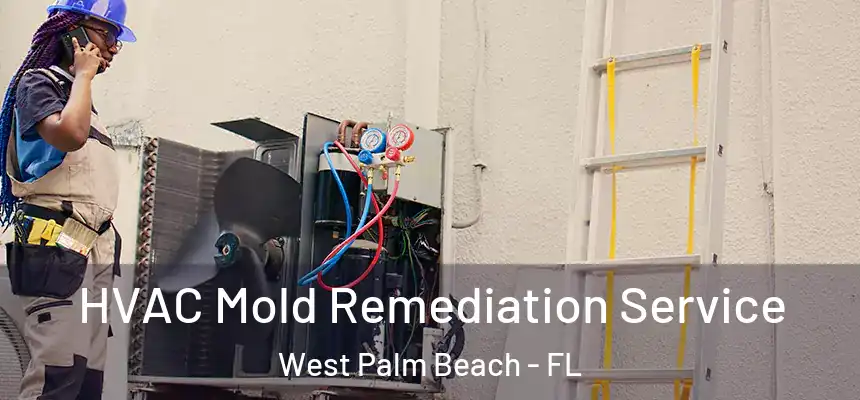 HVAC Mold Remediation Service West Palm Beach - FL