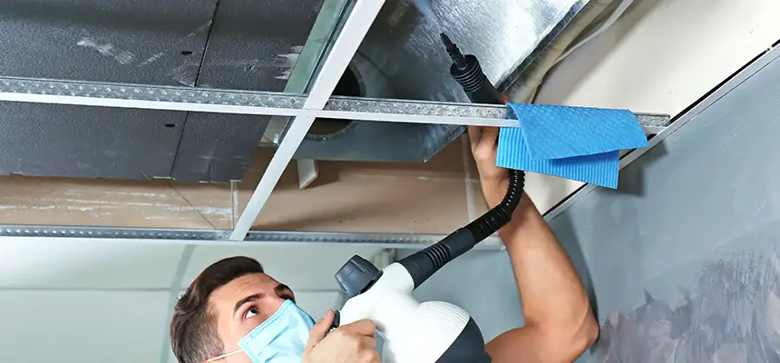 Our Air Duct Rodent Removal Services in West Palm Beach, FL