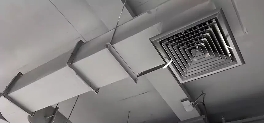 Restorative Allergy Relief Vent Cleaning – Coil, Blower & Housing Detail in West Palm Beach