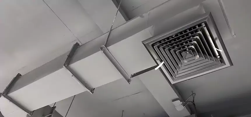 Our Pest Removal From Ducts Services in West Palm Beach, FL