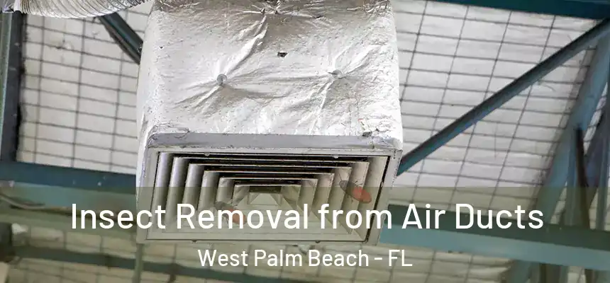 Insect Removal from Air Ducts West Palm Beach - FL