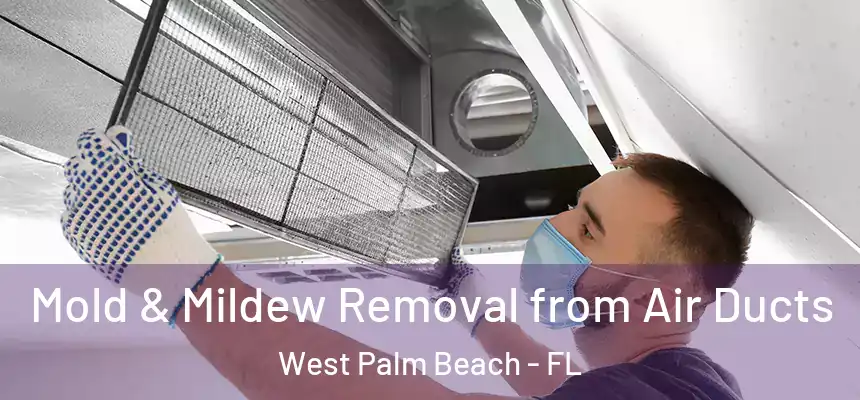  Mold & Mildew Removal from Air Ducts West Palm Beach - FL