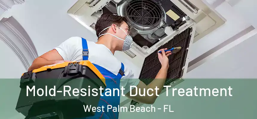  Mold-Resistant Duct Treatment West Palm Beach - FL