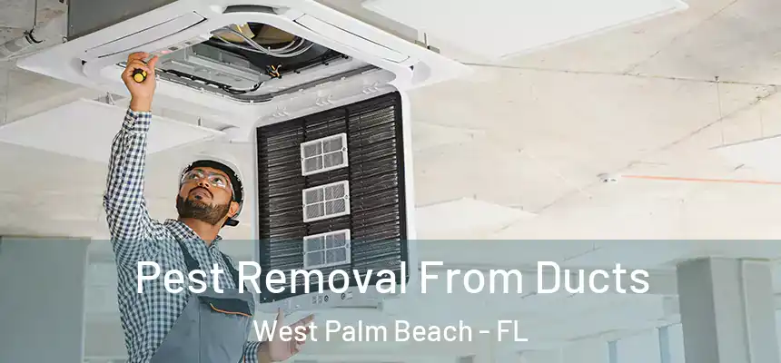  Pest Removal From Ducts West Palm Beach - FL