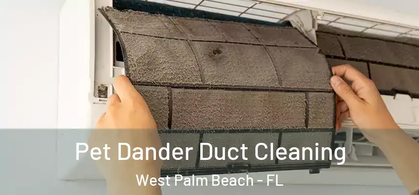  Pet Dander Duct Cleaning West Palm Beach - FL