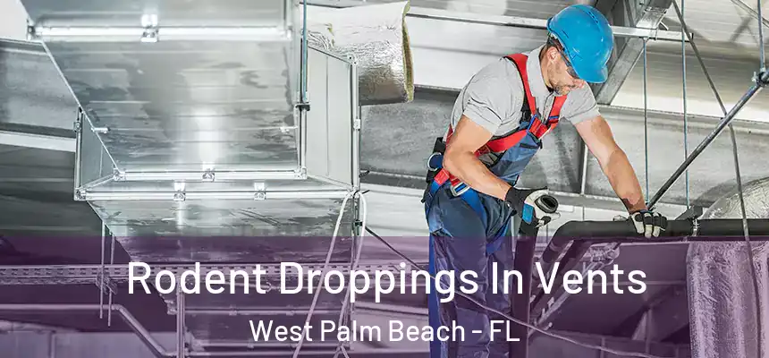  Rodent Droppings In Vents West Palm Beach - FL
