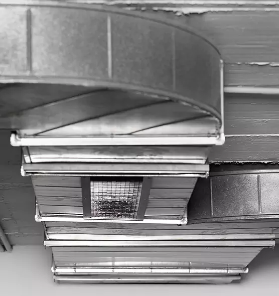 Professional Air Duct Pest Removal in West Palm Beach, FL