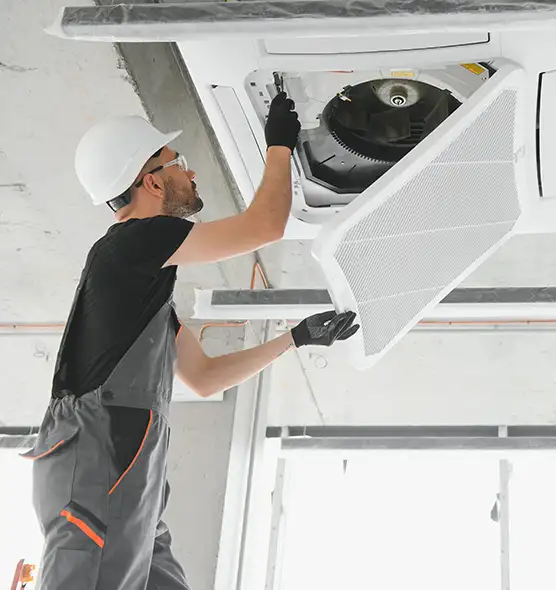 About Air Duct Rodent Removal in West Palm Beach, FL