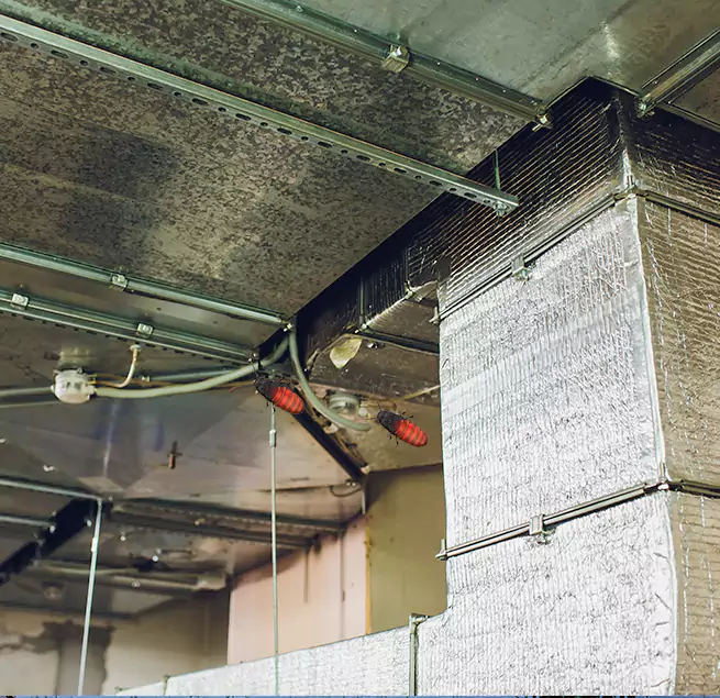 Why Homeowners & Businesses Trust Us in West Palm Beach, FL?