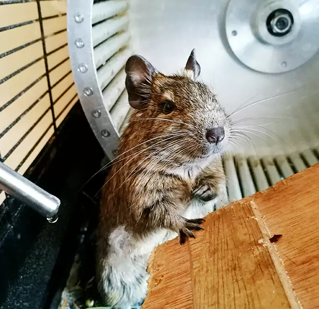 Why Homeowners & Businesses Trust Us West Palm Beach, FL