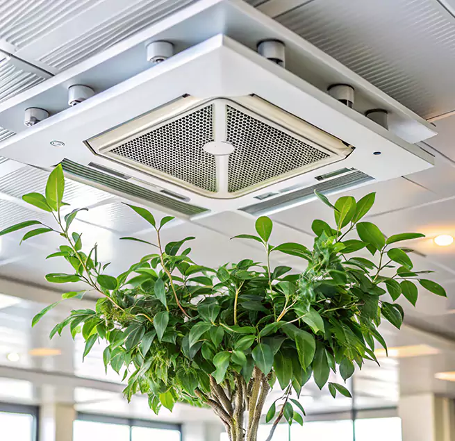 Why Homeowners & Businesses Trust Us in West Palm Beach, FL?