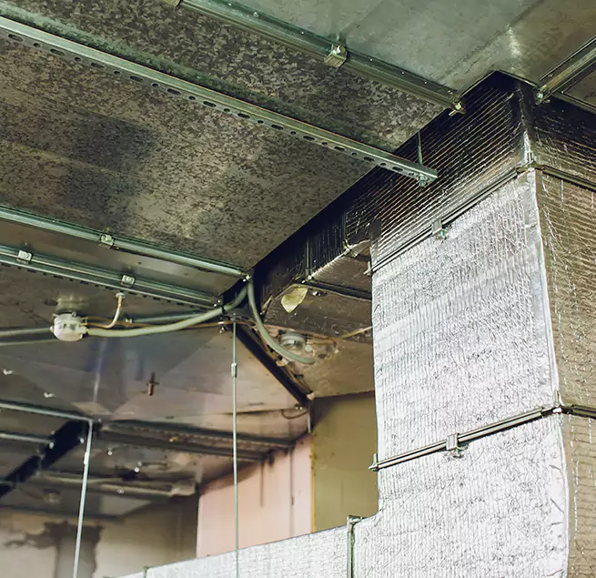 Why Homeowners & Businesses Trust Us in West Palm Beach, FL?